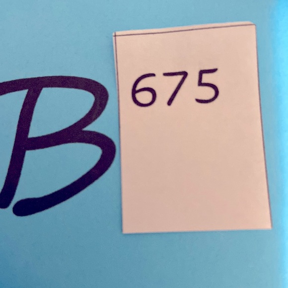 “Hot Southern Mess" Comfort Colors "T" Ole Smokey Mountain Tennessee Whiskey - Picture 9 of 9